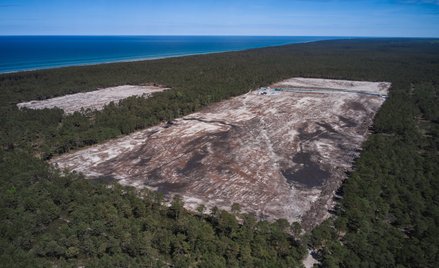 W Choczewie na terenie przyszłej elektrowni jądrowej trwają prace porządkujące teren (wycinka lasu) 