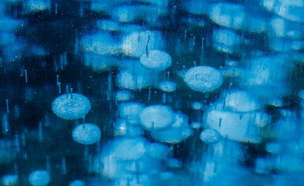 Nie tylko CO2. ONZ alarmuje: konieczne cięcia emisji metanu