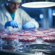 UE prowadzi badania nad mięsem z hodowli komórkowej
