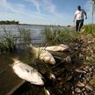 Katastrofa ekologiczna sprawiła, że kolejny sezon letni można spisywać na straty, narzekają przedsię