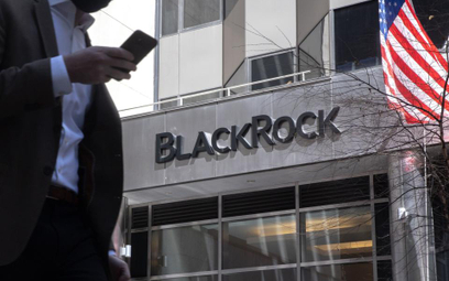 #WykresDnia: BlackRock zjada świat