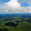 Operacja Verde Brasil 2: Armia broni Amazonię przed pożarami