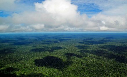 Operacja Verde Brasil 2: Armia broni Amazonię przed pożarami