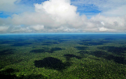 Operacja Verde Brasil 2: Armia broni Amazonię przed pożarami