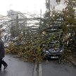 Orkan Ciaran uderzył w Europę Zachodnią. Wkrótce dotrze do Polski
