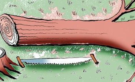 Jak rozliczyć się w 2009 r. za środowisko