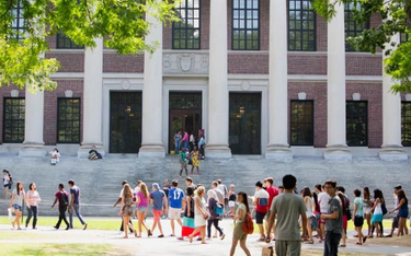 Absolwenci Harvardu wskażą drogę do kariery