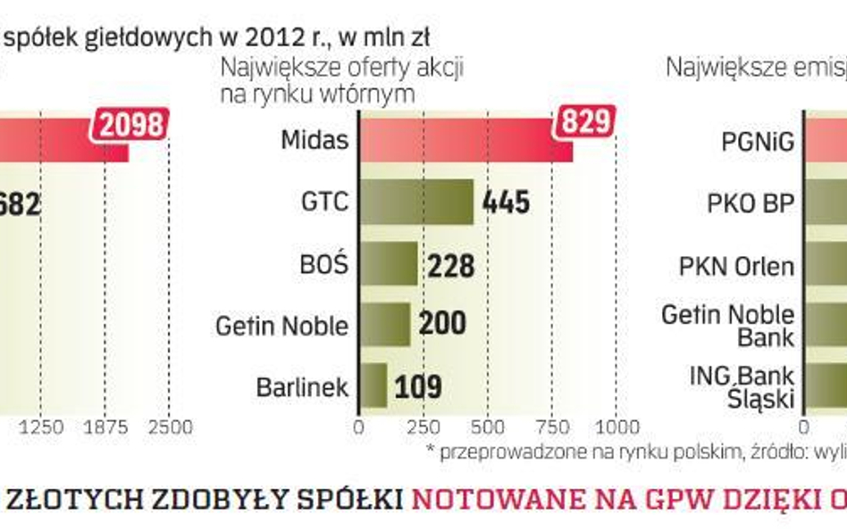 Analitycy wskazują, że nie należy oczekiwać wielu znacznych emisji akcji w tym roku.