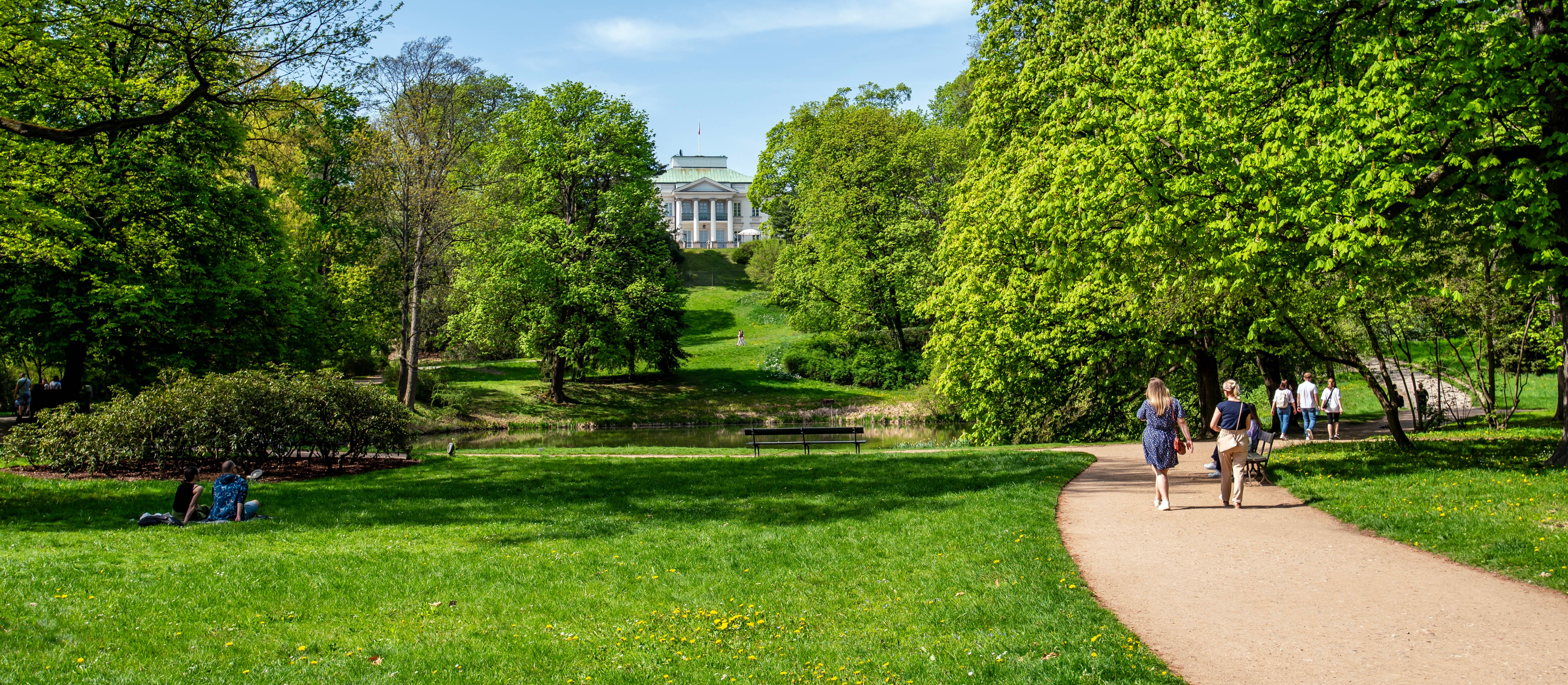 Jak samorządy inwestują w ochronę klimatu? Unijne dotacje na rozwój zieleni