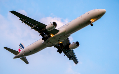 Katastrofa samolotu Air France: prokuratura bezradna, wyrok w kwietniu