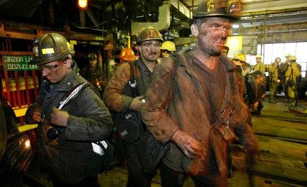 Wiadomo, że zawody górnicze są wśród profesji, do których dostęp miałby zostać ułatwiony