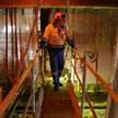 Australijska firma cukrownicza Wilmar Sugar and Renewables znalazła sposób na strajkowiczów