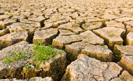 Anomalii klimatycznnych będzie coraz więcej