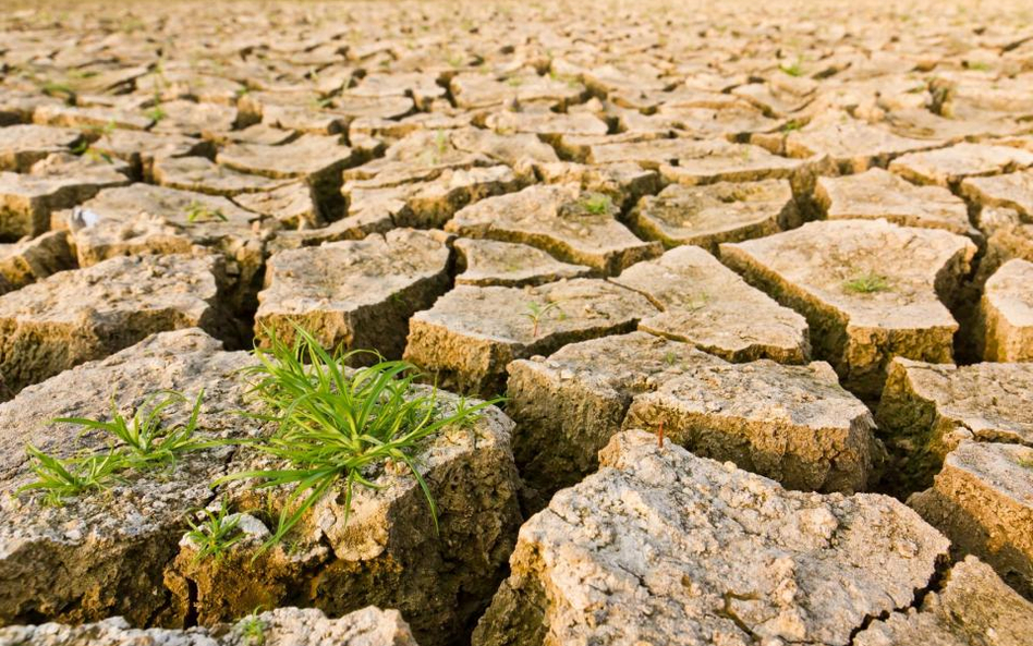 Anomalii klimatycznnych będzie coraz więcej