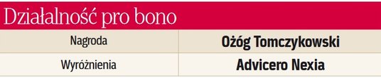 Działalność pro bono