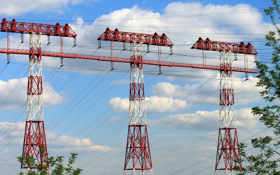 Import prądu z ukraińskiego atomu? Najwcześniej za 4 lata