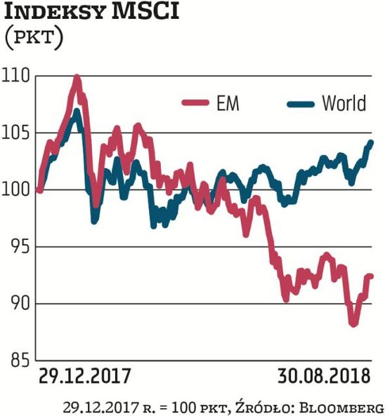 Indeks MSCI Emerging Markets (EM) stracił od początku roku blisko 8 proc. W tym czasie wskaźnik MSCI