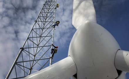 Aukcje zbiją ceny za zieloną energię