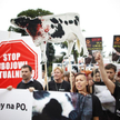 Demonstracja przed Sejmem przeciw legalizacji uboju rytualnego - 11.07.2013 r.