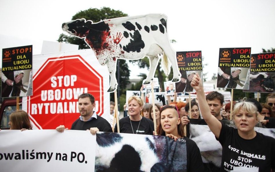 Demonstracja przed Sejmem przeciw legalizacji uboju rytualnego - 11.07.2013 r.