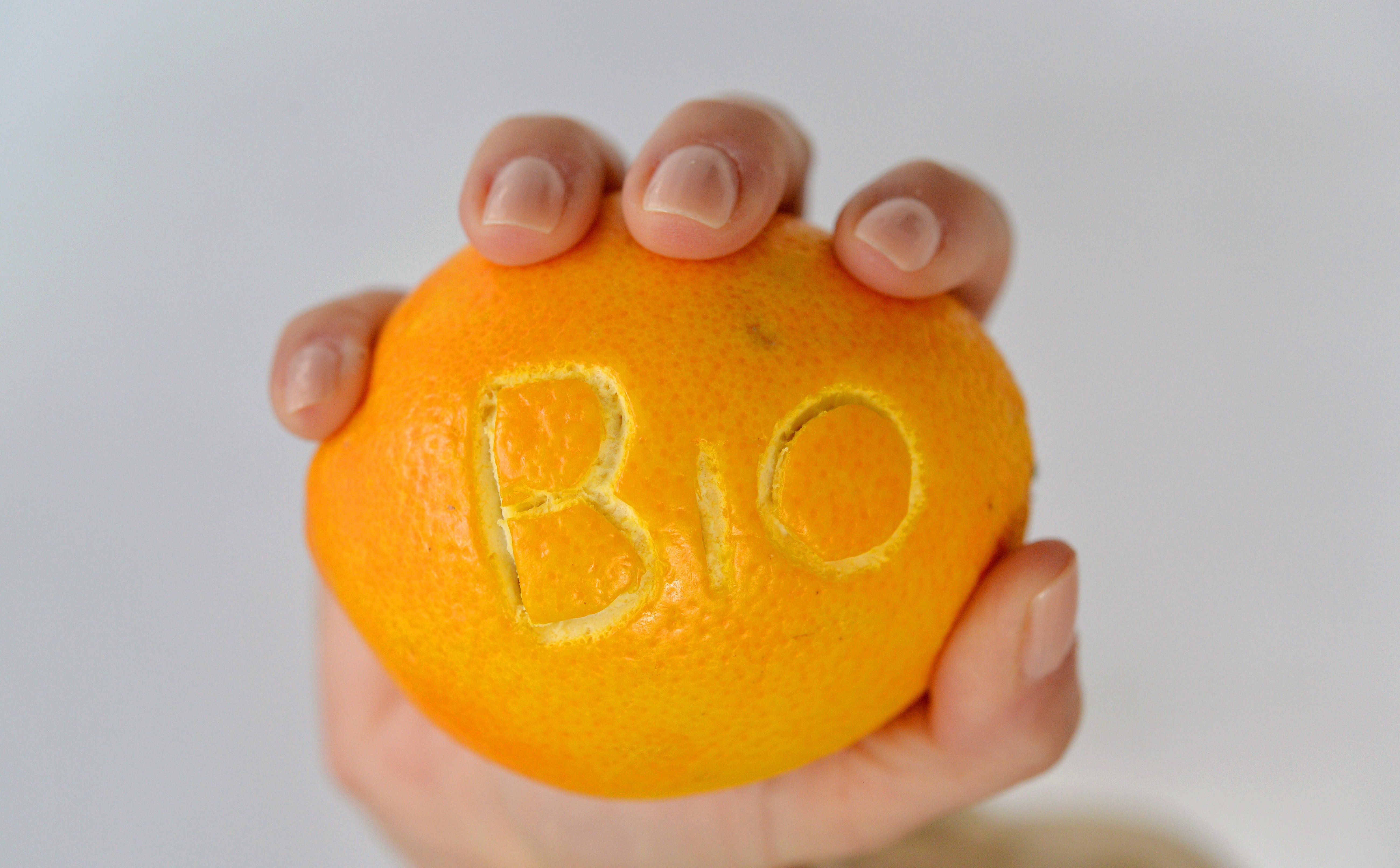 Zielone złudzenia. Jak greenwashing i eko-metki tworzą nową mitologię konsumpcji