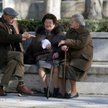 Emerytura częściowa wyniesie tylko 50 proc. należnej emerytury. Będzie można ją dostać także bez rez