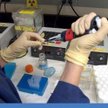 Biomed Lublin rozpoczyna produkcję leków osoczopochodnych.