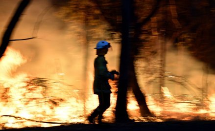 Australia: 17 grudnia był najgorętszym dniem w historii kraju