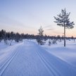Finlandia: Uchodźcy zwolnili dyrektora ośrodka
