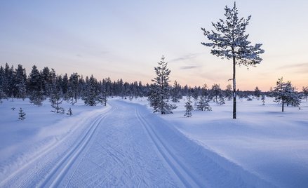 Finlandia: Uchodźcy zwolnili dyrektora ośrodka