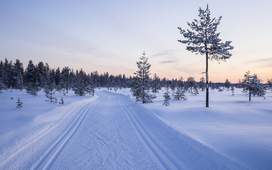 Finlandia: Uchodźcy zwolnili dyrektora ośrodka