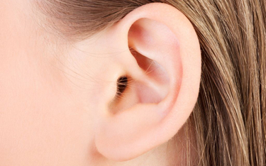 Polacy stworzyli protezę ucha środkowego