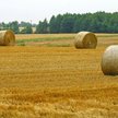 Polskie grunty są już droższe niż w Niemczech