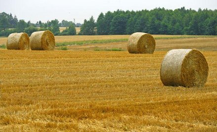 Polskie grunty są już droższe niż w Niemczech
