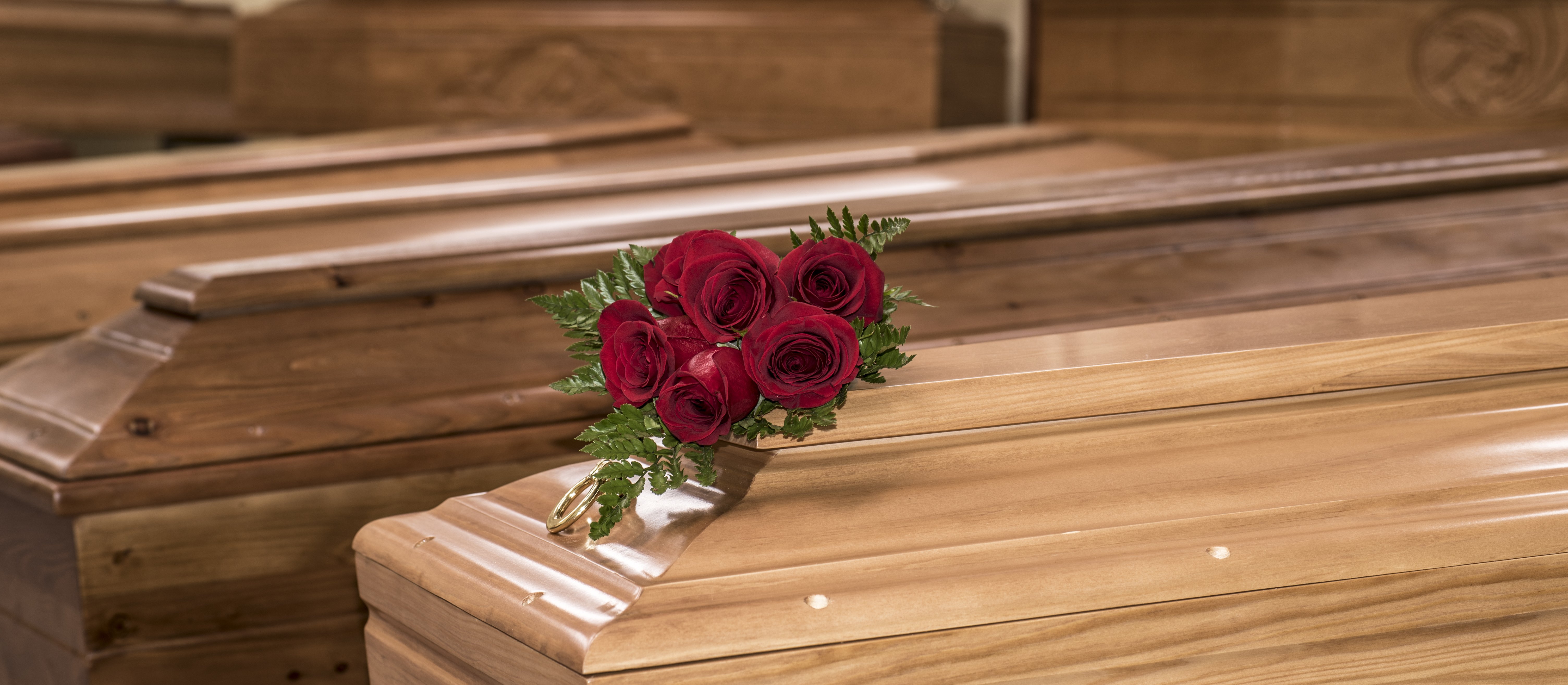 Klepsydra chce wypłacić dywidendę. Zapowiada udany 2026 r.