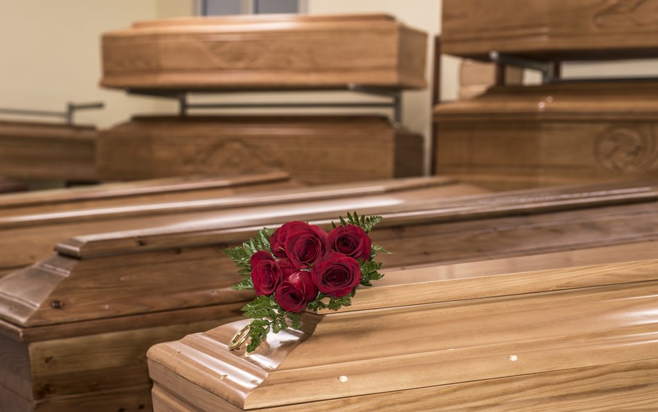 Klepsydra chce wypłacić dywidendę. Zapowiada udany 2026 r.