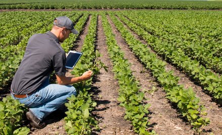Rolnictwo regeneratywne inwestycją w przyszłość żywności