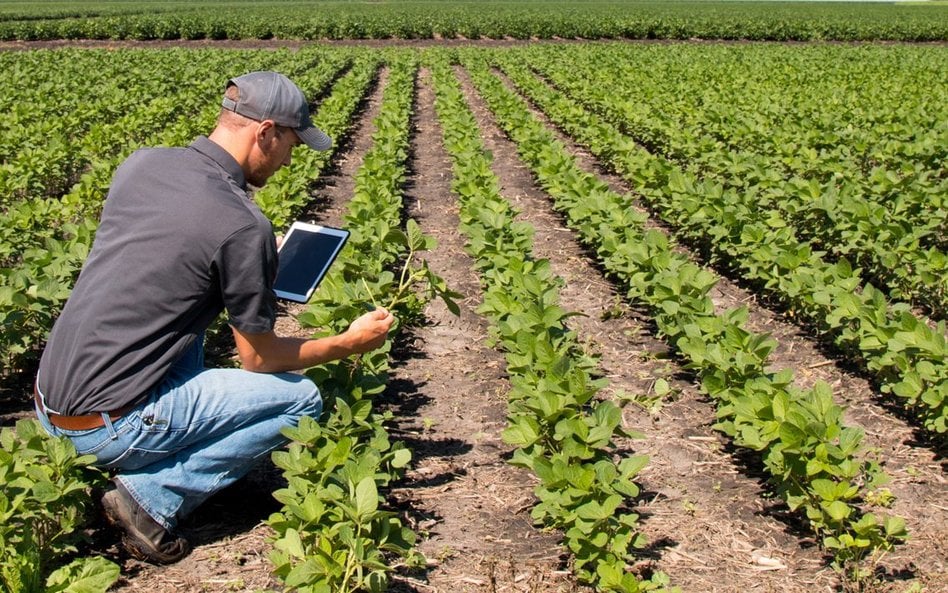 Rolnictwo regeneratywne inwestycją w przyszłość żywności