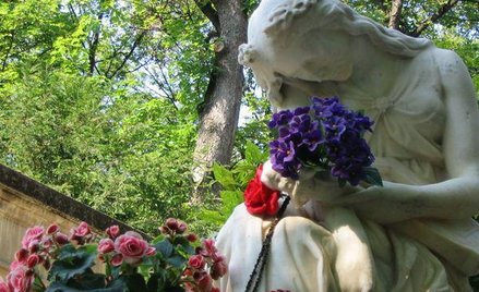 PIT od upraw szklarniowych: rolnik nie zapłaci wyższego podatku od sprzedanych chryzantem