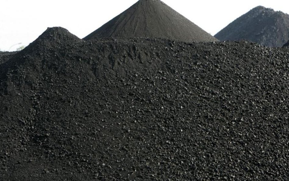 8. Russian Coal Co (1,9 proc.)