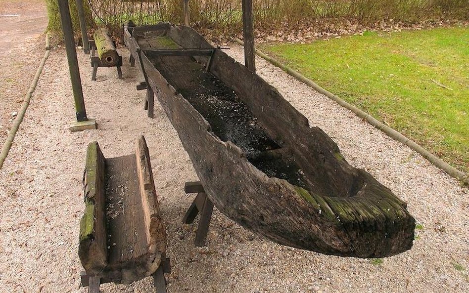 Dłubanka z X wieku - ekspozycja Muzeum Archeologicznego Środkowego Nadodrza w Świdnicy