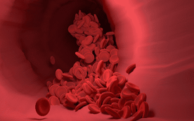 Najbliższa akcja krwiodawstwa na warszawskim Mokotowie zaplanowana jest na czwartek, 19 lutego 2026 