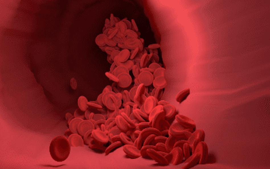 Najbliższa akcja krwiodawstwa na warszawskim Mokotowie zaplanowana jest na czwartek, 19 lutego 2026 