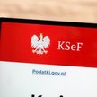 Model uprawnień KSeF dla JST – czy jest dostępny dla innych jednostek publicznych?