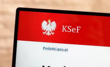 KSeF nie rozwiązuje żadnego z problemów, które faktycznie spędzają przedsiębiorcom sen z powiek - pi