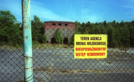 Tysiące hektarów pod młotek