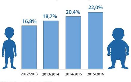Dane statystyczne z badań BMI przeprowadzonych w kontrolowanych szkołach przez pielęgniarki szkolne 