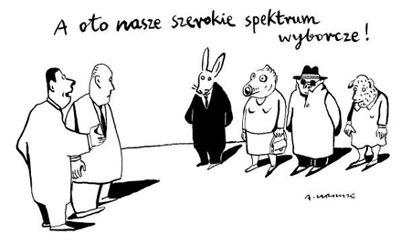 Rysuje Andrzej Krauze
