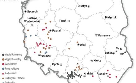 Spółki domagają się ochrony złóż