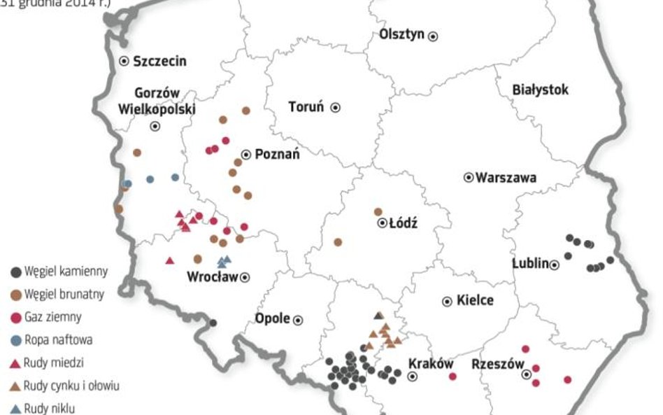 Spółki domagają się ochrony złóż